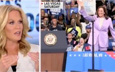 ‘That’s cheating’: Fox News hosts react to Harris campaign’s ‘manipulative’ Google search tactic