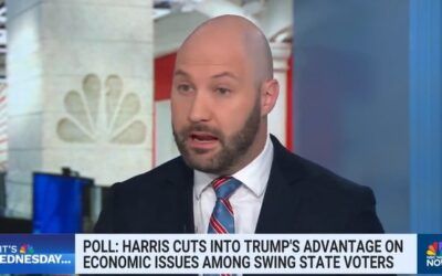 Ex-GOP advisor warns Republicans down-ballot could shrink ‘dramatically’ if Harris wins key swing states