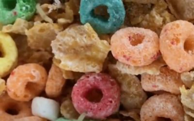 DNC attendees have MAGGOTS slipped into their breakfast; FBI investigates