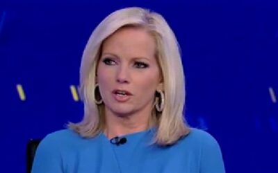 Fox News anchor defends Kamala’s ducking the media: ‘I wouldn’t change anything’