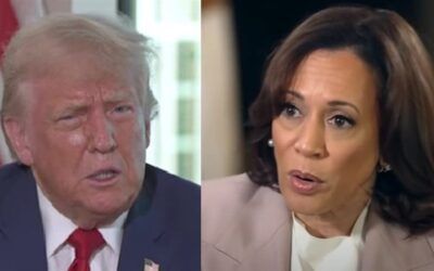 Team Kamala flogs debunked ‘suckers and losers’ hoax on grim anniversary