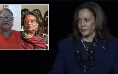 Black activists’ past rhetoric may spell trouble for Harris campaign: ‘F**k the white women’