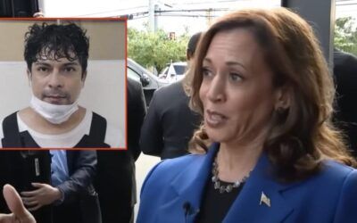 Serious journalist keeping score on jaw dropping illegal immigrant crime wave