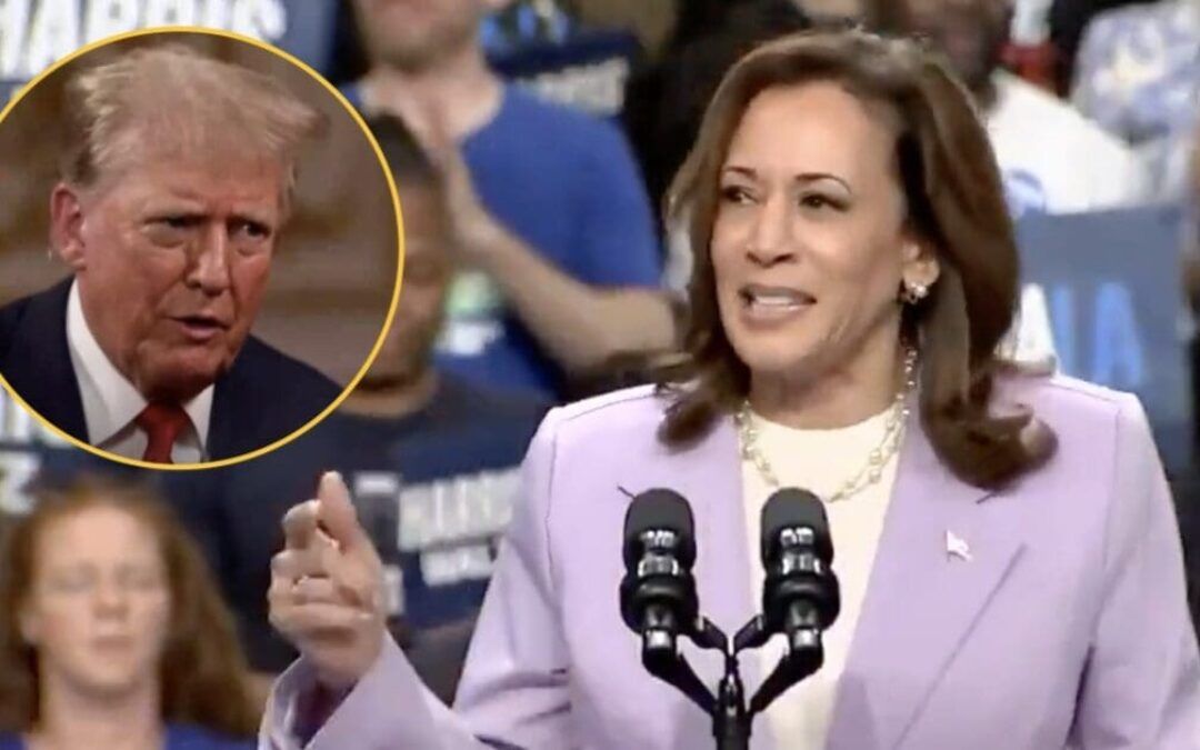 Trump takes issue with Kamala paying for celebrity endorsements: ‘Totally against the law’