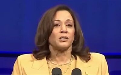 Unearthed piece from 2019 details Harris throwing around ‘F-bombs’, ‘berating of staff’