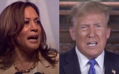 Kamala campaign won’t shoulder the failures of ‘Bidenomics’, blames TRUMP for latest jobs report