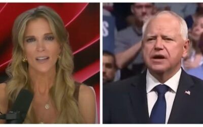 Fearful Megyn Kelly not sugarcoating the power of ‘amazing’ speaker Walz: ‘This guy scares me’