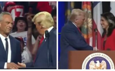 Trump team offers Tulsi Gabbard an official role alongside RFK Jr: ‘Can’t wait to join forces!’
