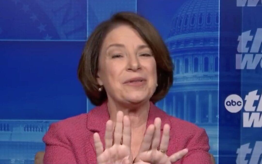 Dem senator demands Wray serve his full 10 year term, DeSantis sets her straight