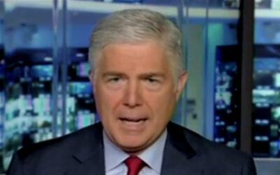 Justice Gorsuch warns dangerous abundance of federal laws ‘undermine respect for law itself’