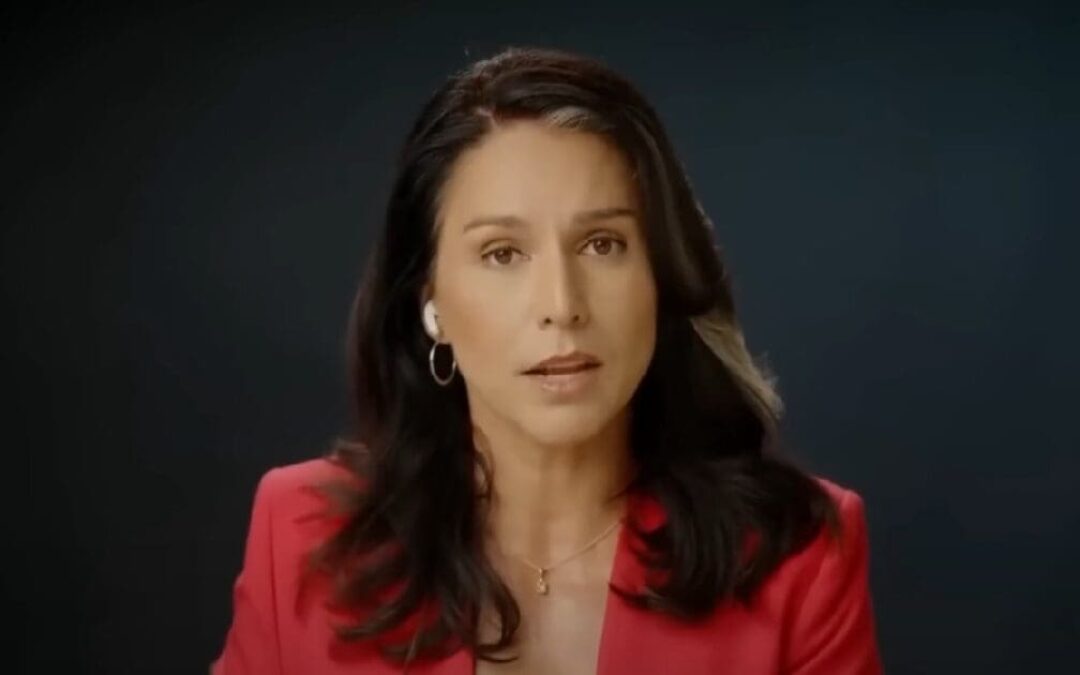 ‘Hidden in a safe’ hoax collapses after Tulsi Gabbard finishes ripping senator to shreds