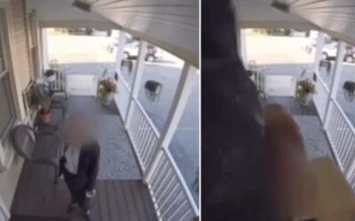 Owner says Secret Service on VP Harris’s detail ‘broke into’ her salon, used bathroom and left without locking the door