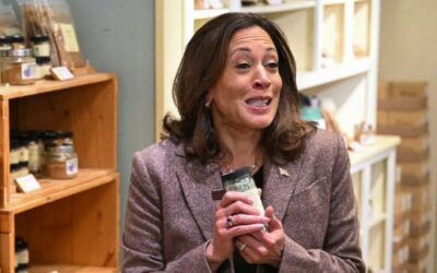 Fox hosts outraged by Kamala’s partisan shopping trip: ‘Someone didn’t think that photo op through’