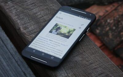 Blue state mulls subsidizing illegal aliens’ cellphone bills