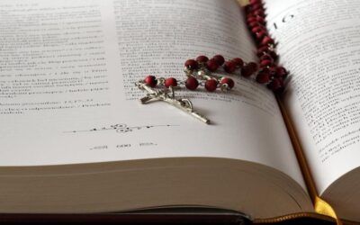 The universality of the Catholic Church