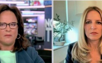 ‘Really incompetent answer’: Fox Business host tears into Dem pollster who attempted to defend Harris’ economic plans