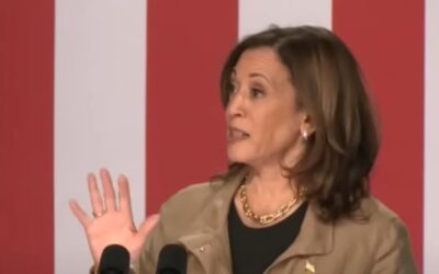 Harris visits southern border to garner support, speak on solutions to border crisis