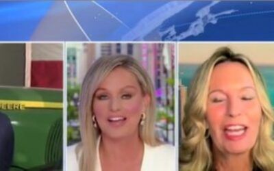 ‘What is her plan?’: Fox News host verbally jousts with Dem guest over Kamala Harris’ economic policy