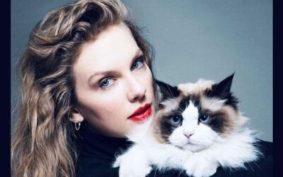 Taylor Swift’s endorsement of Harris and other big debate night moments