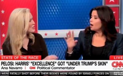 ‘That’s curated’: CNN guest fires back at Ana Navarro’s gloating about Trump debate