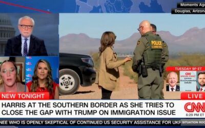 CNN commentator calls Harris’ border visit ‘tricky,’ says voters with major concerns on issue don’t ‘trust’ her