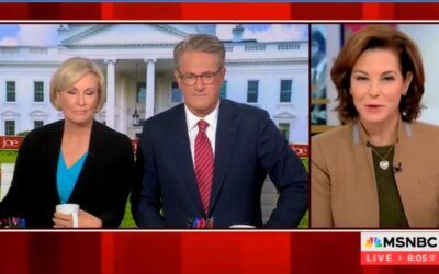 MSNBC’s Stephanie Ruhle says Kamala Harris did not give detailed answers in interview ‘because she’s a politician’