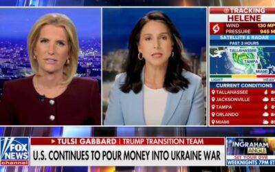 Former Dem Rep Tulsi Gabbard slams Harris on foreign policy, declares her ‘unfit’ to be commander in chief