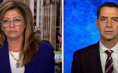 Sen. Cotton quips Kamala fixing the border is like OJ ‘promising to find the real killer’