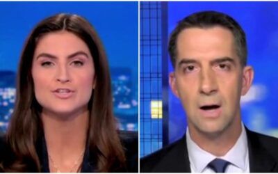 ‘You’re not going to stop me there!’ Sparks fly when Tom Cotton, CNN host clash over IVF