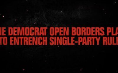 Elon Musk hammers ‘massive voter importation to make swing states permanently blue’