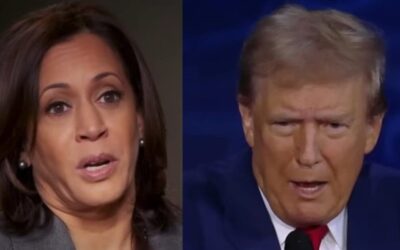 Trump shares hot tip that illegals are being paid to be Kamala supporters
