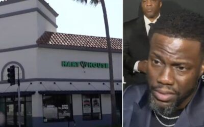 Comedian Kevin Hart shutters vegan fast-food chain in CA on heels of minimum wage hike