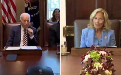 ‘We need a real leader’: Biden’s first Cabinet meeting in nearly a year almost immediately thrown to Jill