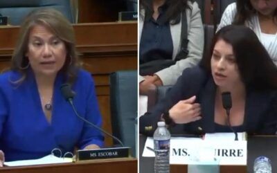 ‘I’m still talking!’ Witness puts smug House democrat in her place as victims of migrant crime moms rock hearing