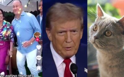 ‘Beat makes me feel some type of way’: Social media goes wild over viral ‘Eat The Cat’ Trump remix