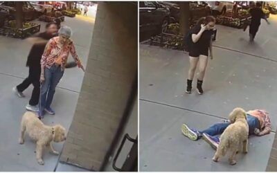 Elderly woman KNOCKED OUT while walking dog in NYC