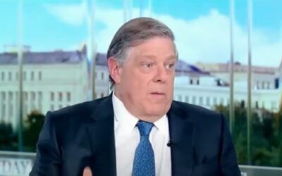 ‘Last thing she should do’: Former Clinton adviser says Harris’ border visit ‘plays right into’ Trump’s hands