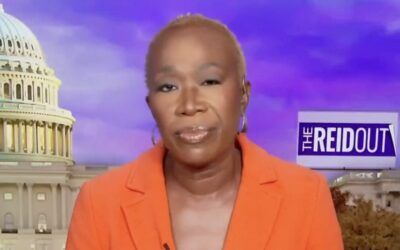 Liberal media figures are eating MSNBC alive for daring to ‘cancel’ diverse host lineup