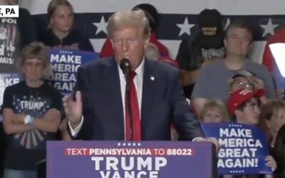 ‘Who let him watch The Purge?’ Trump proposes interesting solution to end violent crime in US