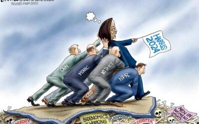 BS daily political cartoons: Harris gets heavy