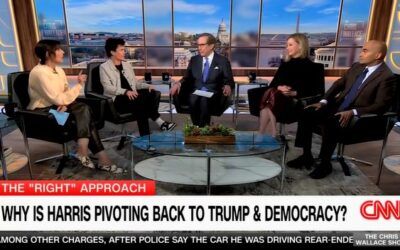 ‘The entire country is going to collapse’: Chris Wallace spars with NYT reporter over Harris’s campaign pivot