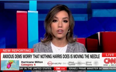 ‘Anxiety and nerves setting in’: CNN panel says Dems biting their nails amid tight Harris-Trump race