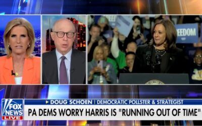 Former Clinton pollster warns of ‘eroding’ blue wall for Harris after failing to connect in Fox interview