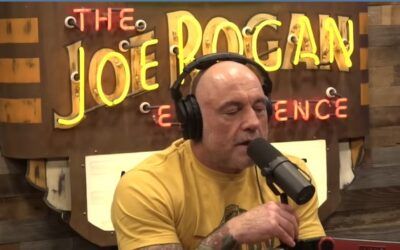 ‘That’s undeniable’: Joe Rogan claps back at vice co-founder claiming illegal immigrants can’t vote
