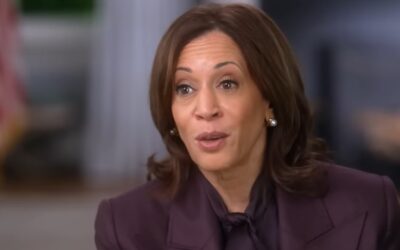 Kamala Harris lost because people voted, not because they didn’t, research shows