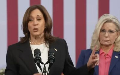 ‘I’m shocked’: NewsNation guest questions why Kamala Harris would be ‘seen in public’ with ‘unpopular’ Liz Cheney