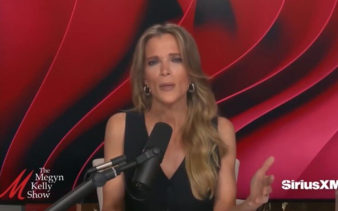 ‘Go f*ck yourselves’: 5 times Megyn Kelly skewered corporate media coverage