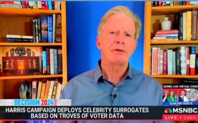 MSNBC guest claims Kamala Harris running ‘one of the most perfectly executed campaigns’ in American history