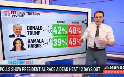 MSNBC’s Steve Kornacki says Kamala Harris’ popularity has tumbled off a cliff in blink of an eye