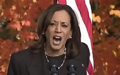 GOP Congressional leaders call on Kamala to stifle her dangerous rhetoric about Trump, she fires back